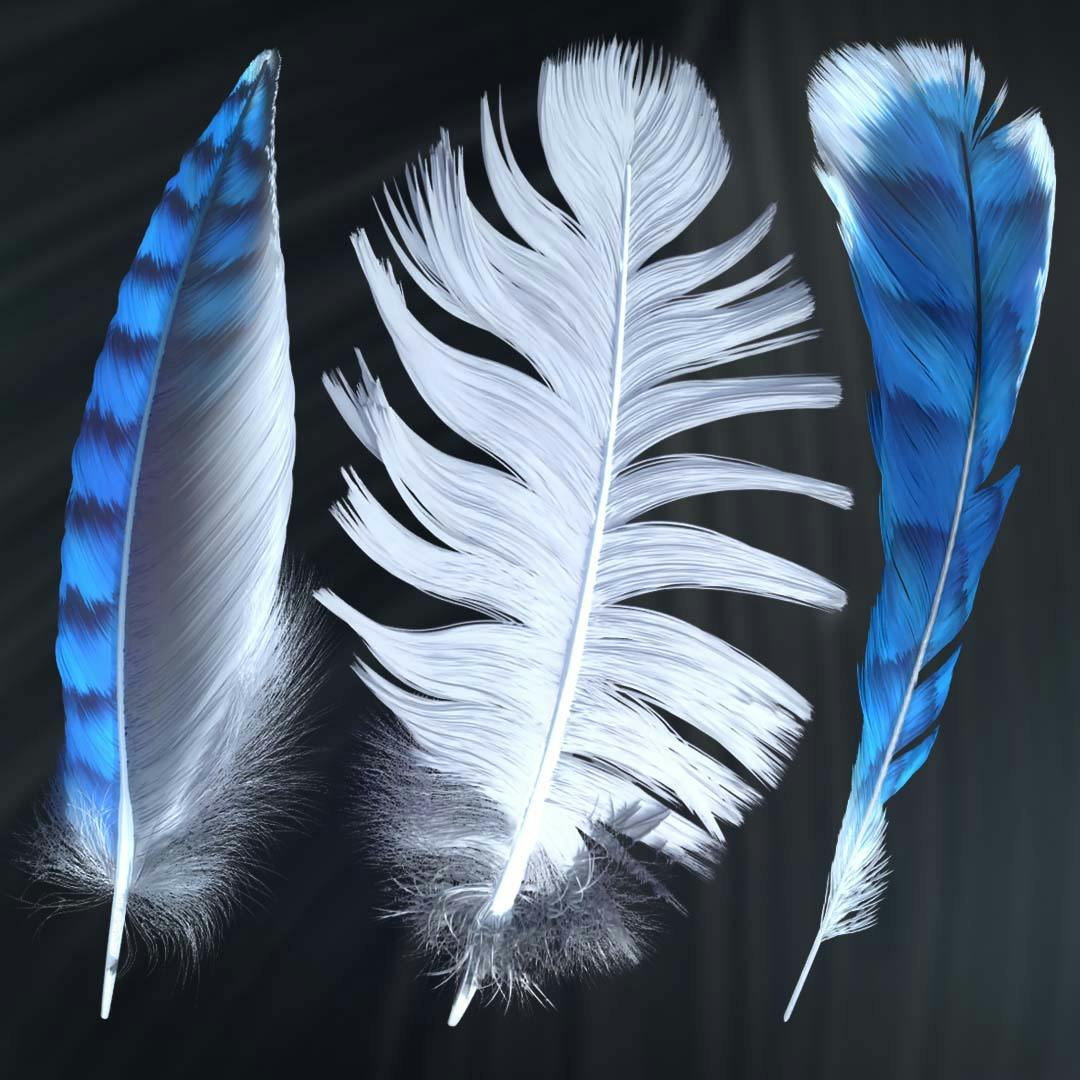 HairTG-Feather